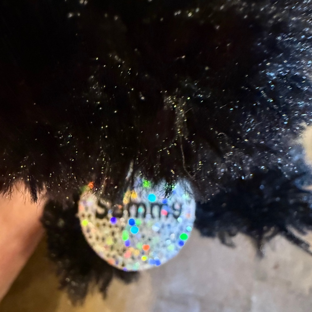 Black Plush Dog “Sammy” Justice 6 inch Black Terroir Dog Sparkly Collar - Picture 8 of 12